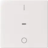 80962229