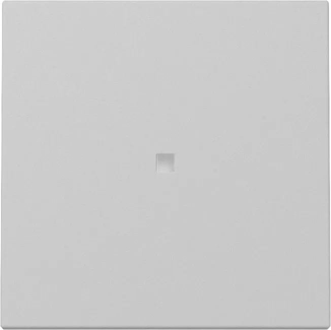 Gira 3290015 Pic_1