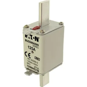Eaton Electric NH-SICHERUNG 125 AMP 500 V gG GRÖSSE 1 D Pic_3