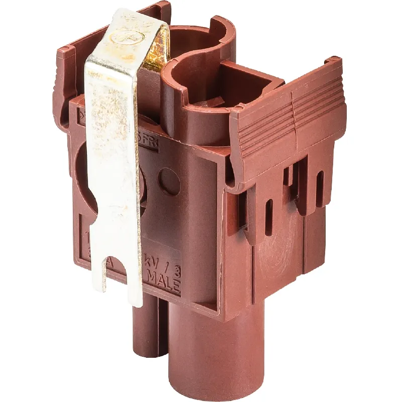 Wieland FLE STS 1P 25 1K AG Pic_1