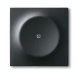 2CKA001753A0138