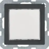 29516086