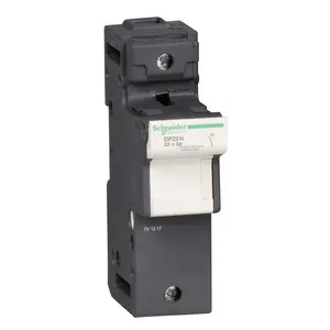 Schneider Electric DF22N Pic_2