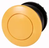 216750