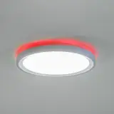 81020806