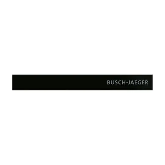 BUSCH-JAEGER ELEKTRO GMBH 6352-825-101 Pic_1