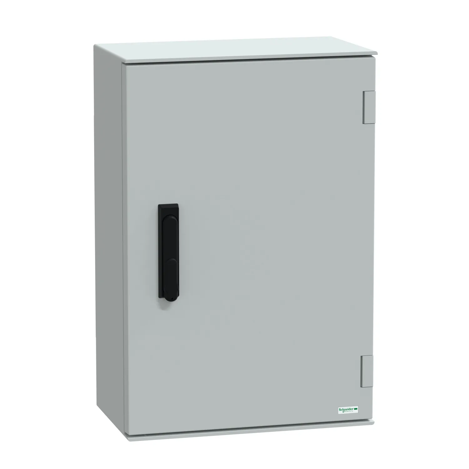 Schneider Electric NSYPLM64VG Pic_1