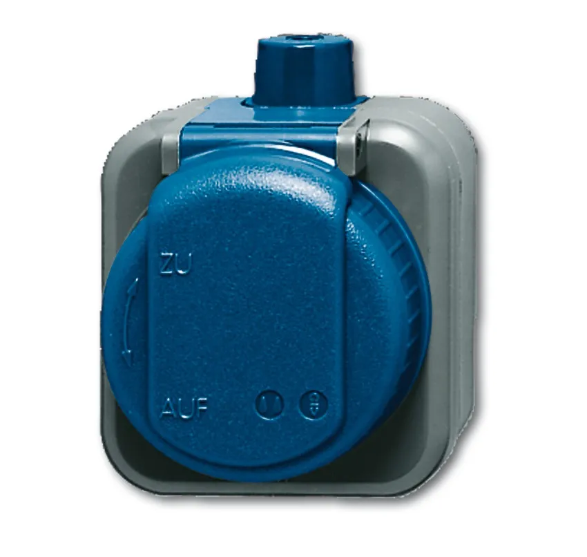 BUSCH-JAEGER ELEKTRO GMBH 2300 EWDI Pic_1