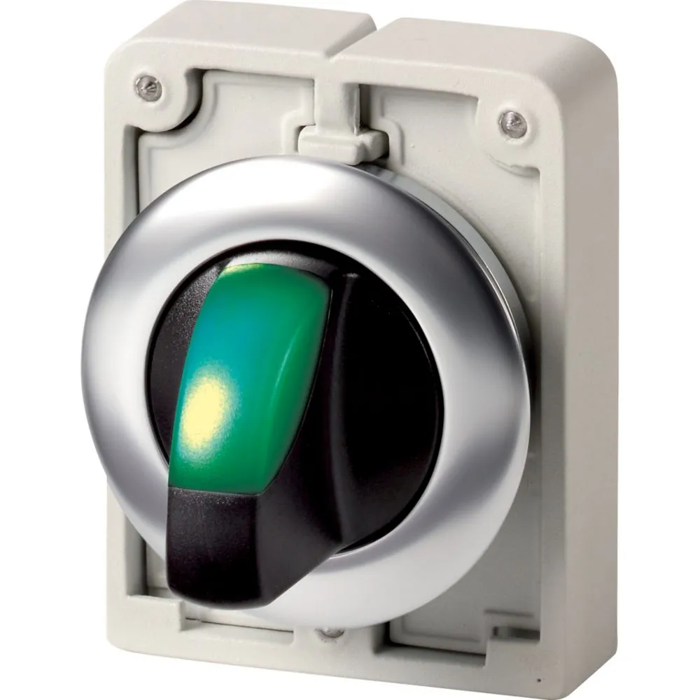Eaton Electric M30I-FWLK3-G Pic_1