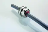 89231