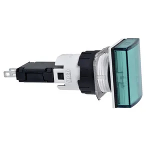 Schneider Electric XB6DV3BB Pic_1