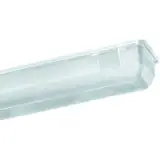 163119004