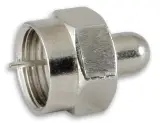 273169