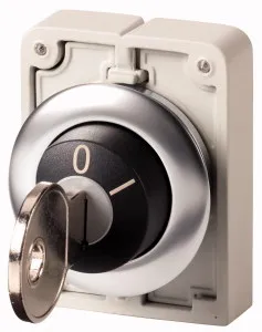Eaton Electric M30I-FWRS-MS10 Pic_3