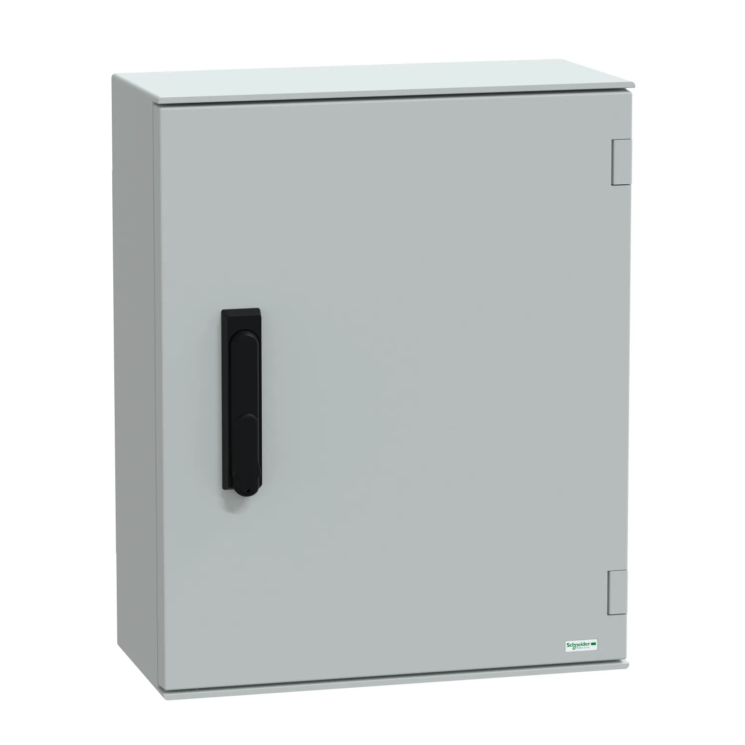 Schneider Electric NSYPLM54VG Pic_1
