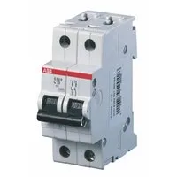 BUSCH-JAEGER ELEKTRO GMBH S202P-K16 Pic_2