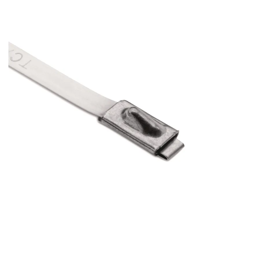 Hellermanntyton MBT27SS-SS304-ML (100) Pic_1