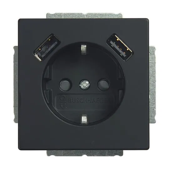 BUSCH-JAEGER ELEKTRO GMBH 20 EUCB2USB-885 Pic_2
