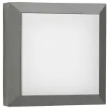 626561