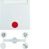 16281909