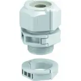 2024982