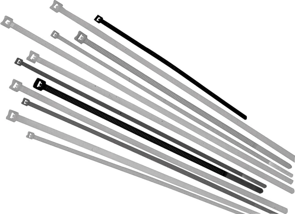 U.I. Lapp GmbH / Lappkabel Kabelbinder Basic Tie 98x2,5 BK Pic_1