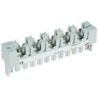Dehn + Söhne BM 10 DRL Pic_4