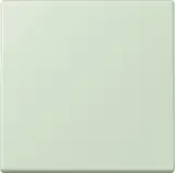 ENOLC990218