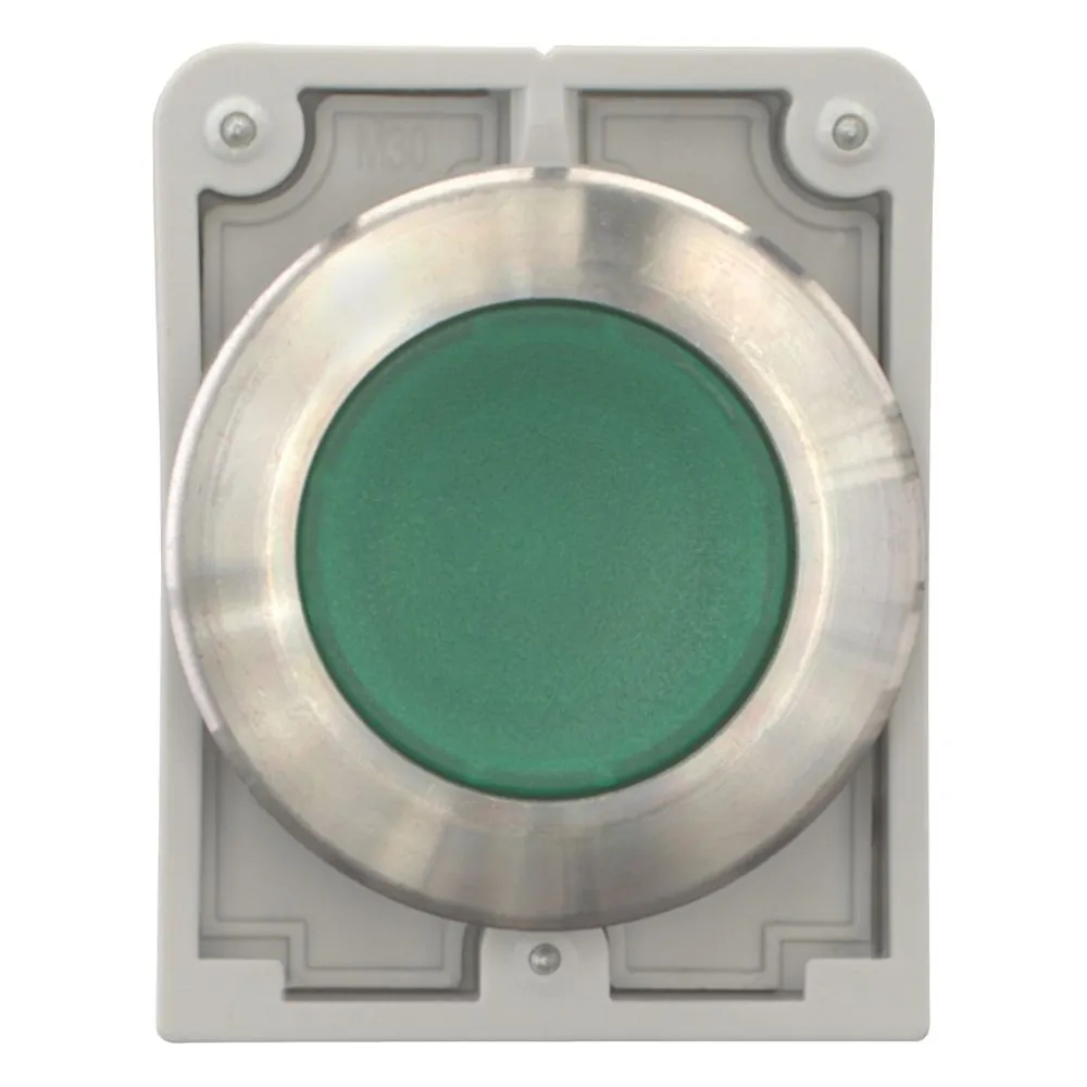 Eaton Electric M30I-FDL-G Pic_1