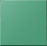 ENOLC990250