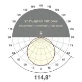 ICSB202430350210M