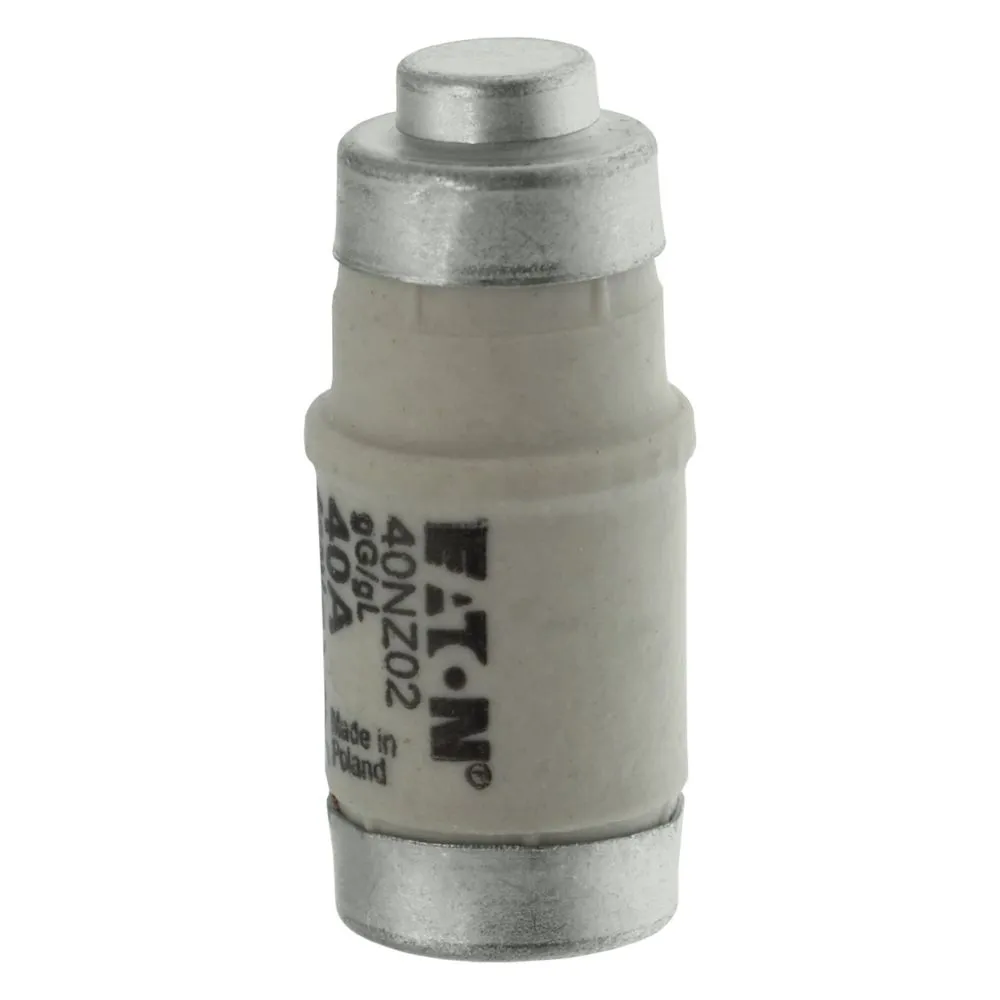 Eaton Electric SICHERUNG-D02 40A T GL/GG 400VAC E18 Pic_2