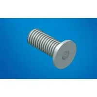 Luetze Schraube, Flachk., M8x10, 1VPE=100 Pic_1