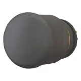 225528