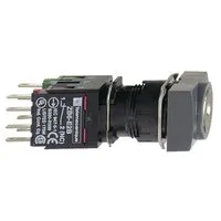 Schneider Electric XB6DGC5B Pic_2