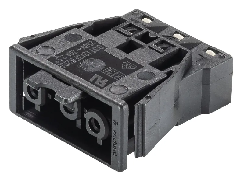 Wieland GST18I3F B2 REV SW Pic_1
