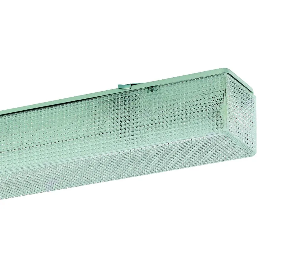 RIDI LEUCHTEN GMBH LFN-R1X150/40DA-PR Pic_1