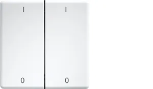 Eltako DW-FT55-rw+IO Pic_1