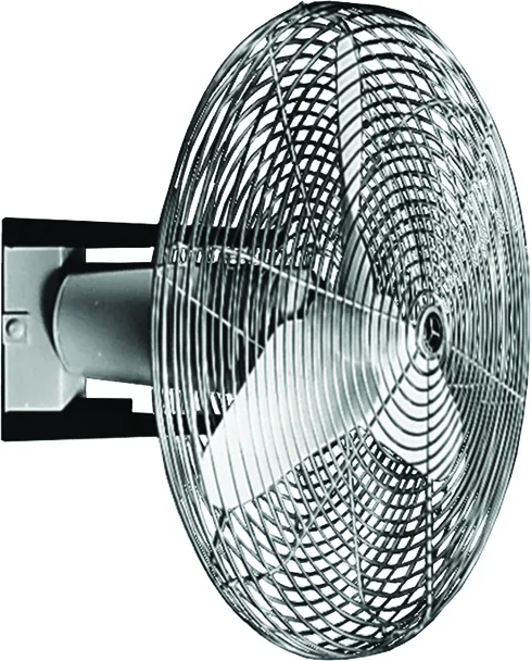 Maico ECO 30 E Pic_1