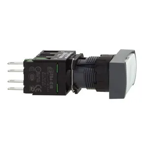 Schneider Electric XB6DA11B Pic_3