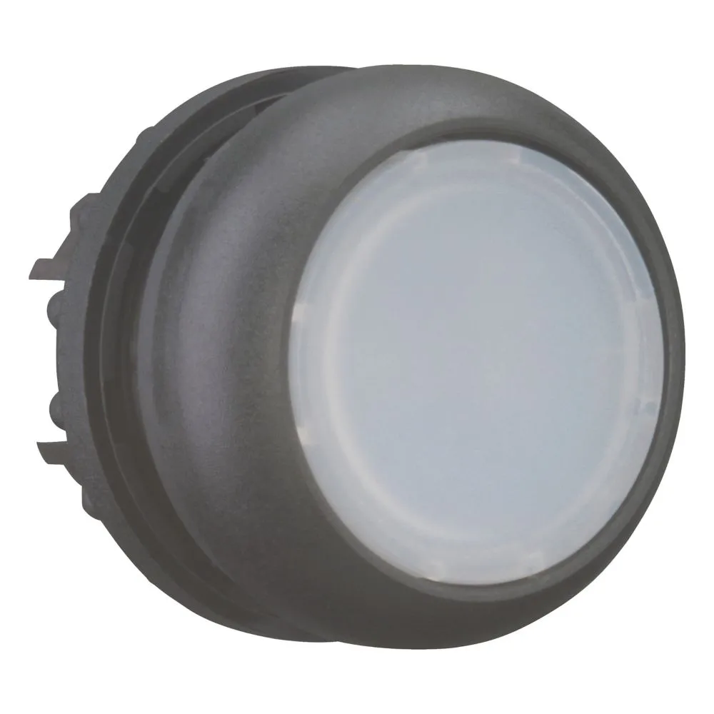 Eaton Electric M22S-DL-W Pic_3