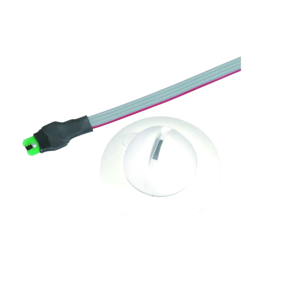 Issendorff LCN - TS Pic_1