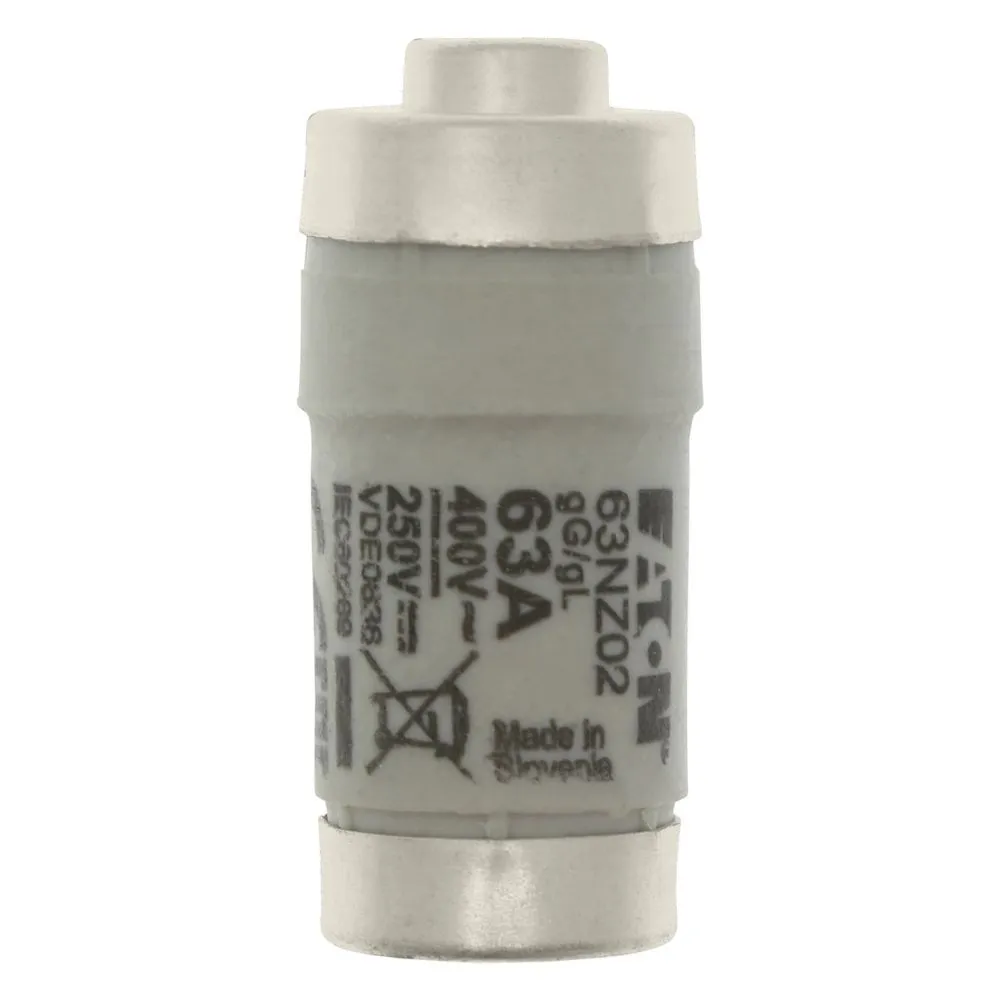 Eaton Electric FUSE-D02 63A T GL/GG 400VAC E18 Pic_1