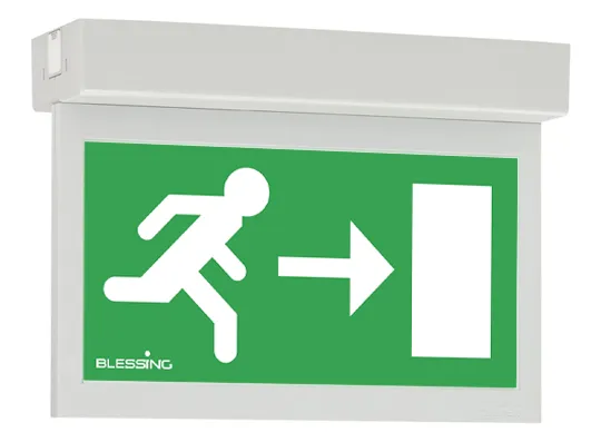 Cooper Safety GuideLed 10021 CG-S Deckenmontage Pic_1