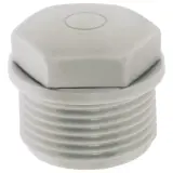 52020513