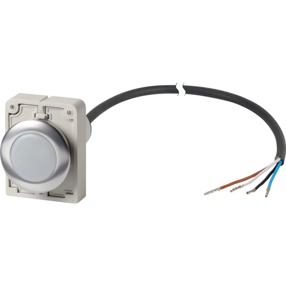 Eaton Electric C30C-FL-W-24-P65 Pic_1