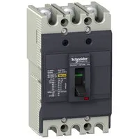 Schneider Electric EZC100H3080 Pic_2