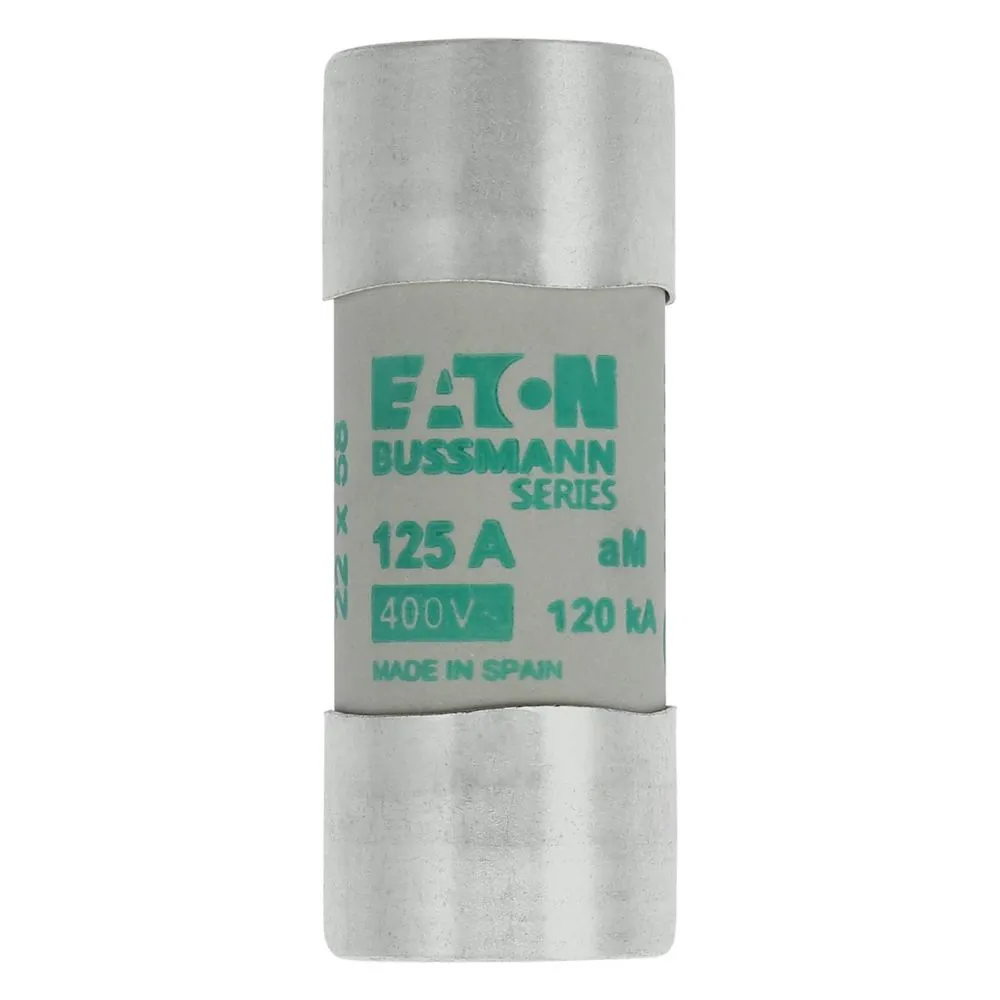 Eaton Electric Zylindrische Sicherung 22 x 58 125A AM 4 Pic_1