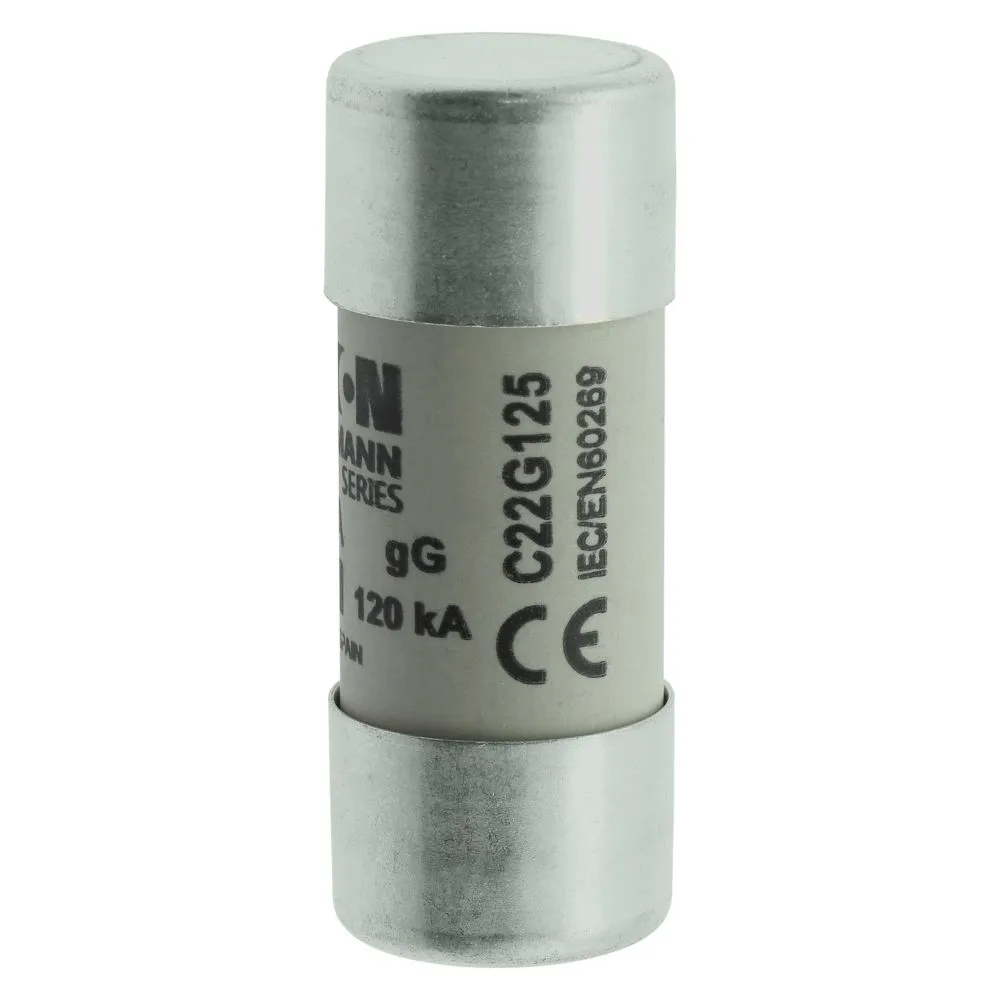 Eaton Electric CYLINDRICAL FUSE 22 x 58 125A gG 500V AC Pic_2