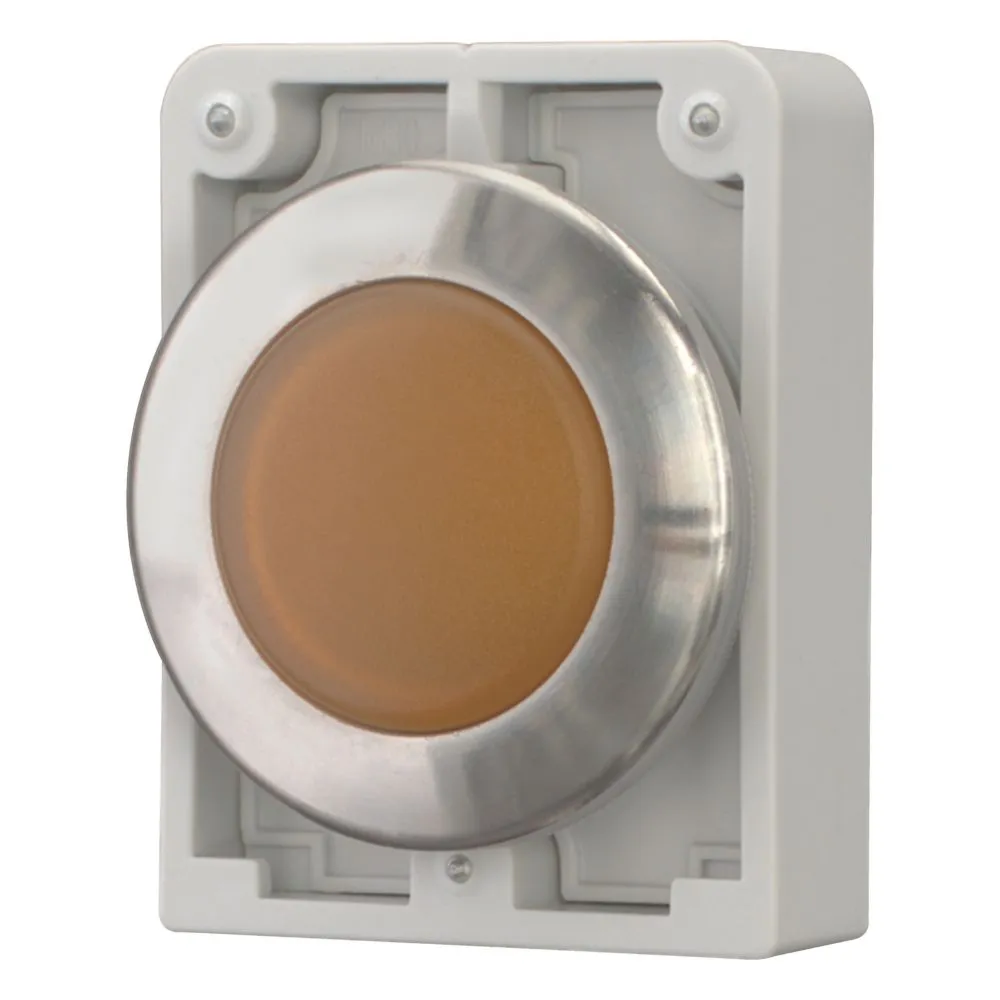 Eaton Electric M30I-FL-A Pic_2